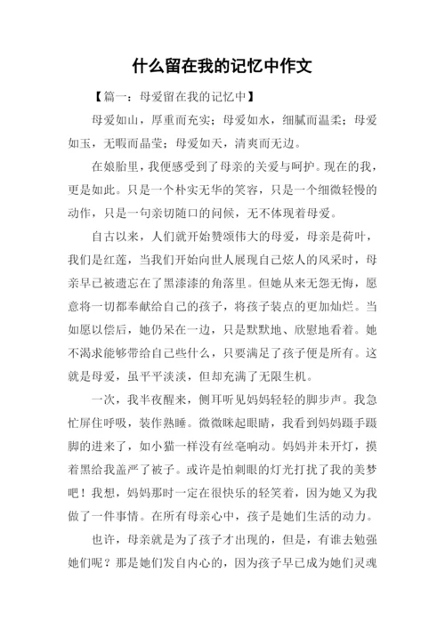 什么留在我的记忆中作文.docx