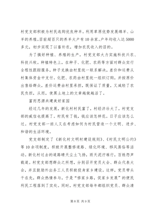 村党支部典型事迹 (6).docx