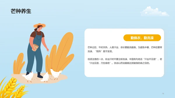 黄色插画二十四节气芒种科普介绍PPT模板