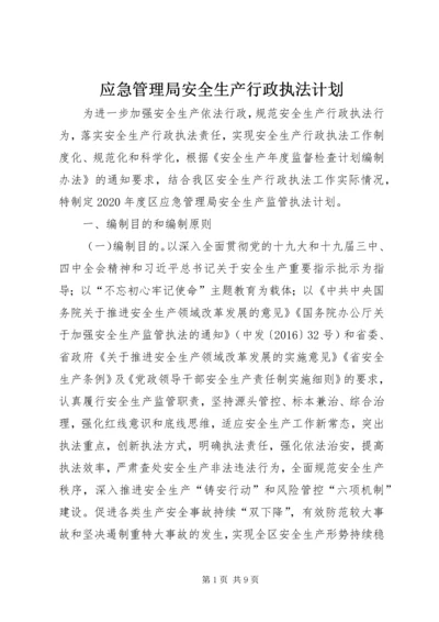 应急管理局安全生产行政执法计划.docx