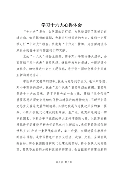 学习十六大心得体会 (3).docx