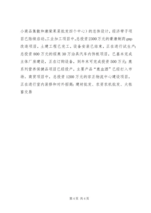 县项目建设情况汇报材料 (3).docx