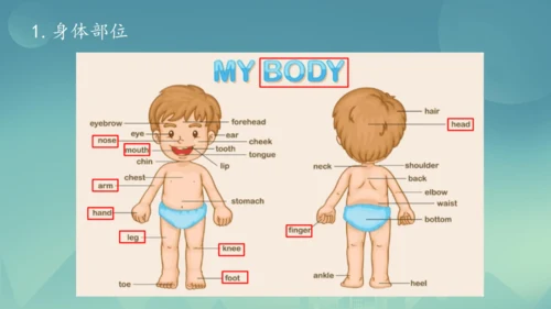 Module 11 Body language Module11 本模块综合与测试