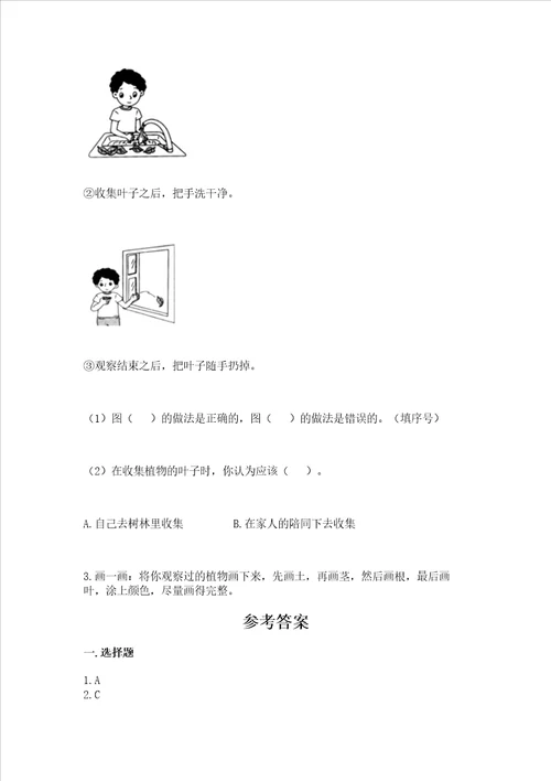 教科版科学一年级上册第一单元植物测试卷及完整答案考点梳理