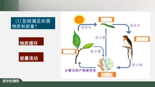 1.2.2 生物与环境组成生态系统 课件（共25张PPT）