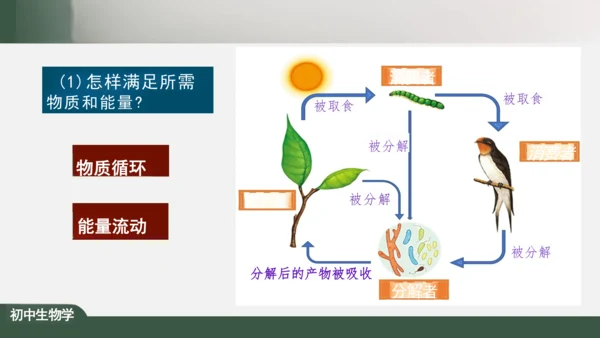 1.2.2 生物与环境组成生态系统 课件（共25张PPT）