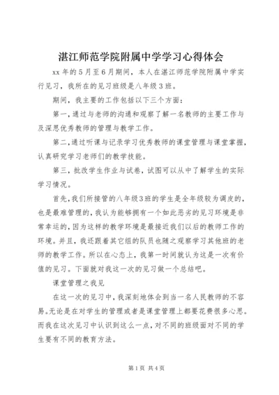 湛江师范学院附属中学学习心得体会.docx