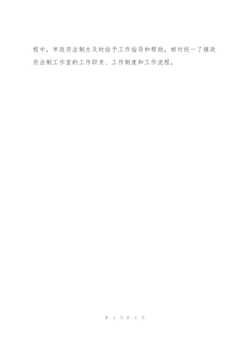 建立镇政府法制工作室的实践与启示.docx