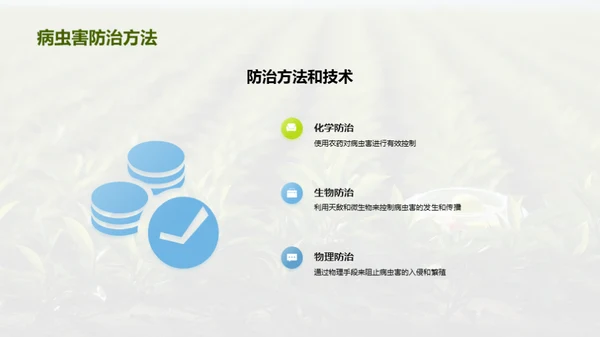 茶园病虫害科学防治