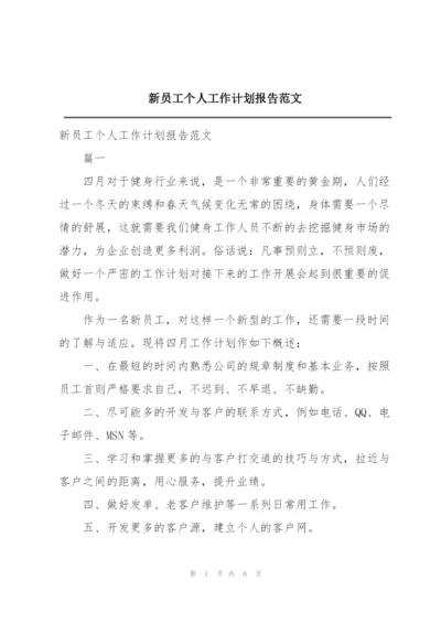 新员工个人工作计划报告范文.docx