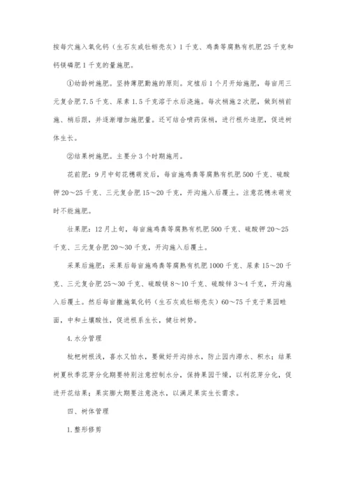 枇杷无公害优质高产栽培技术.docx