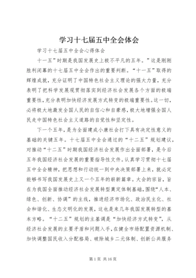 学习十七届五中全会体会 (4).docx