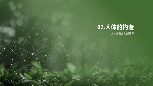 人体系统协作讲座PPT模板