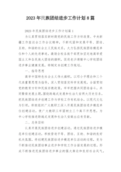 2023年民族团结进步工作计划8篇.docx