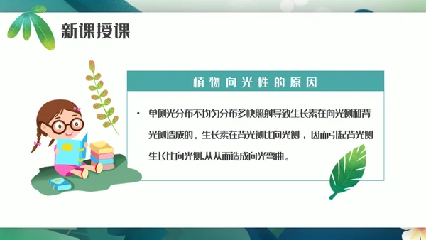 植物生长素的发现生物课件通用PPT模板