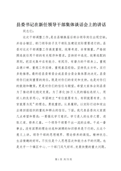 县委书记在新任领导干部集体谈话会上的讲话精编.docx