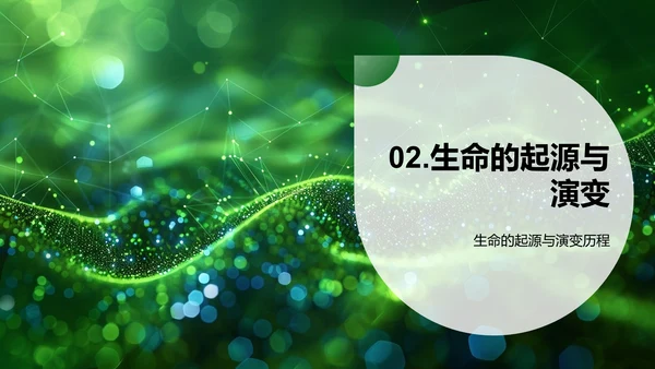 生物学解析PPT模板