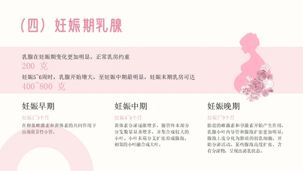 粉色插画简约商务乳房护理乳腺护理培训PPT模板