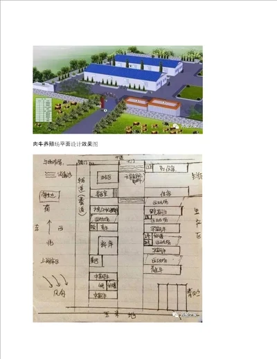 肉牛养殖场平面设计图，养牛场牛棚牛舍图纸