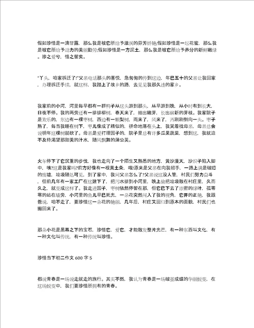 珍惜当下初二作文600字