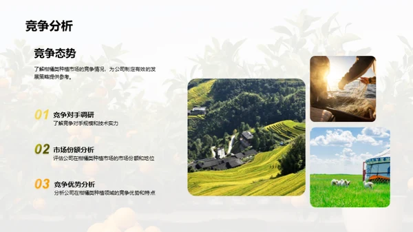 柑橘产业：未来之路