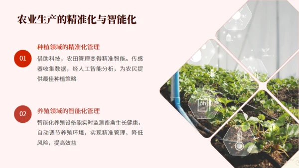 农业农村系统学习贯彻两会精神党课课件