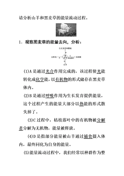 生态系统的能量流动导学案