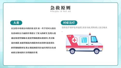 简约风急救中毒知识培训PPT模板护理