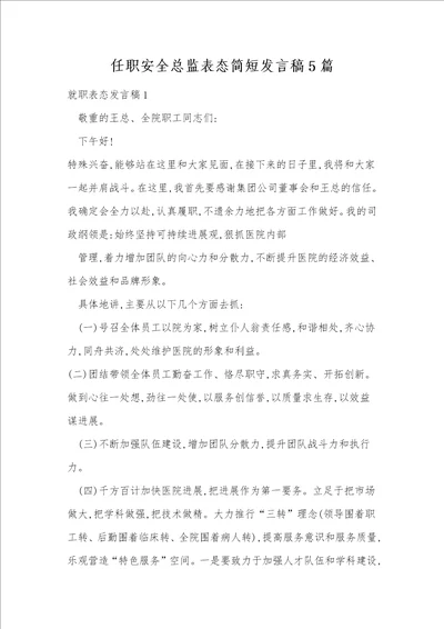 任职安全总监表态简短发言稿5篇