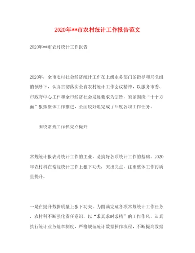 精编年市农村统计工作报告范文.docx