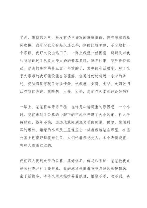 初中生清明节活动个人总结范文.docx