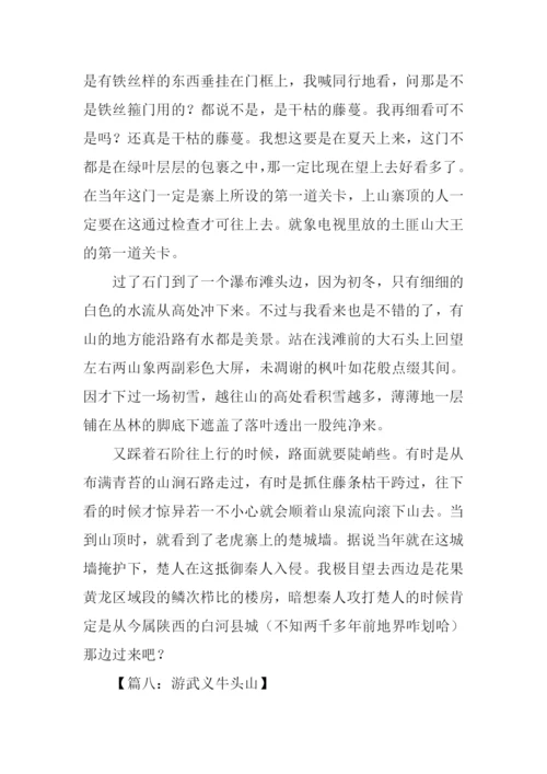 游武义牛头山作文.docx