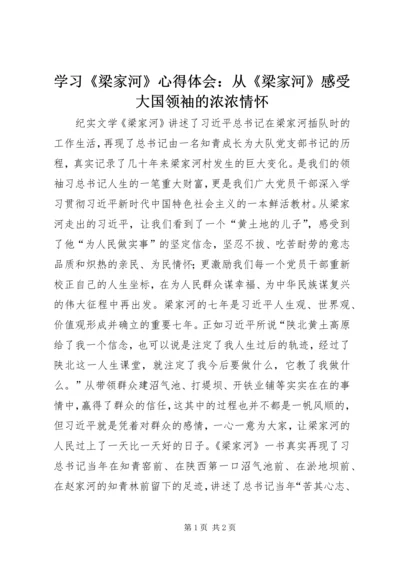 学习《梁家河》心得体会：从《梁家河》感受大国领袖的浓浓情怀.docx