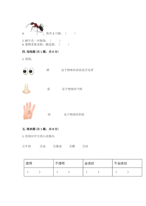 教科版一年级下册科学期末测试卷（全优）.docx
