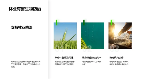 林业害虫治理新篇章