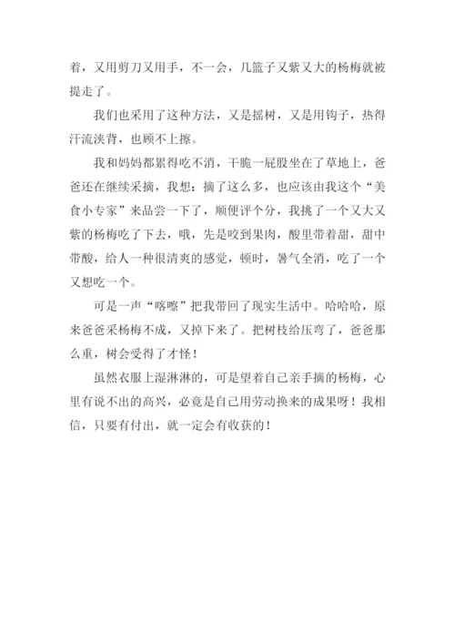 采杨梅作文0.docx