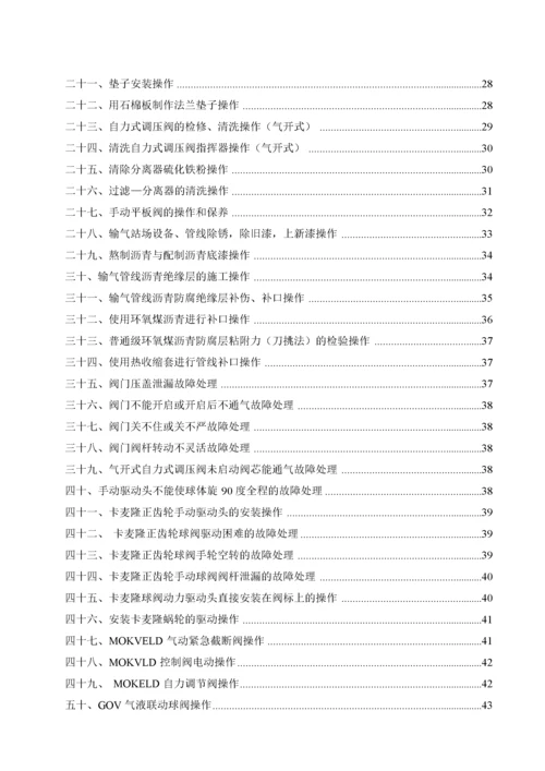 燃气设施运行及维护操作标准.docx