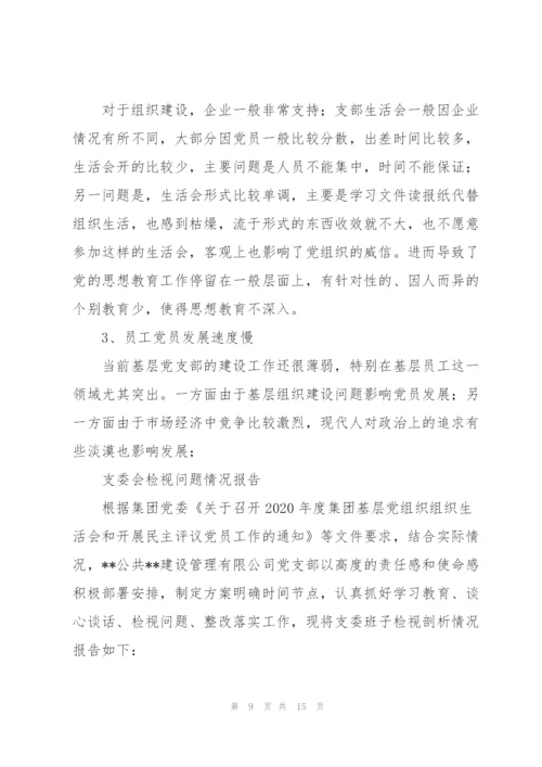 支委会检视问题情况报告.docx