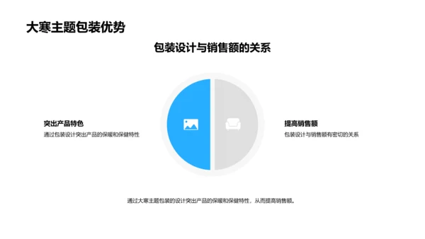 大寒营销策略报告PPT模板