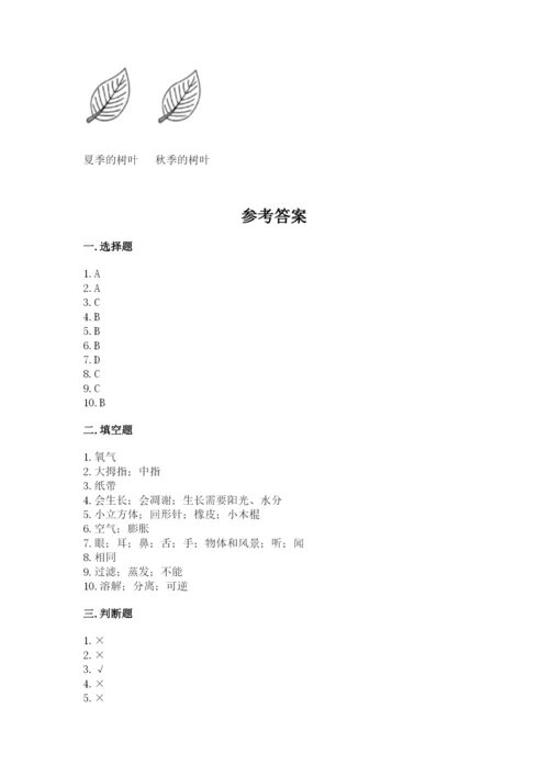 教科版一年级上册科学期末测试卷附参考答案【综合卷】.docx