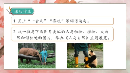 【核心素养】部编版语文二年级下册-9. 枫树上的喜鹊 第2课时（课件）