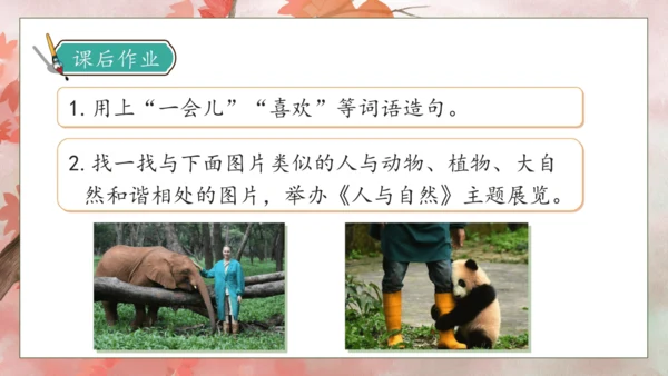 【核心素养】部编版语文二年级下册-9. 枫树上的喜鹊 第2课时（课件）
