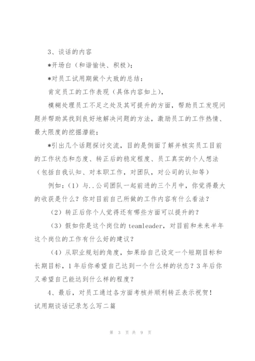 试用期谈话记录怎么写三篇.docx