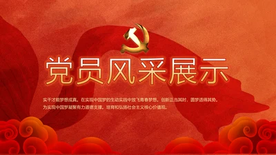 红色党支部党员风采展示作总结PPT