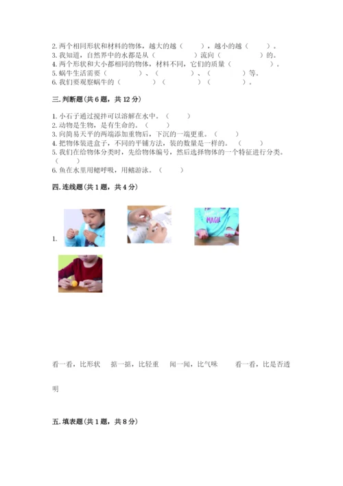 教科版小学科学一年级下册期末测试卷附答案【培优a卷】.docx