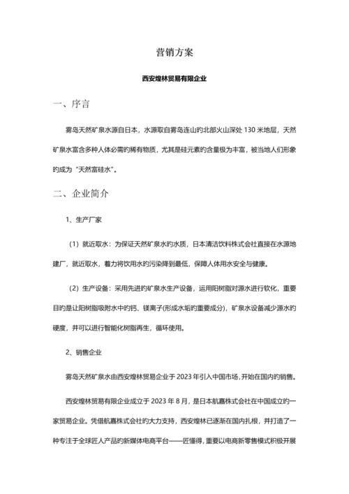 营销方案新版.docx