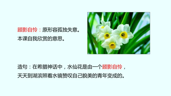 4 花之歌（课件）
