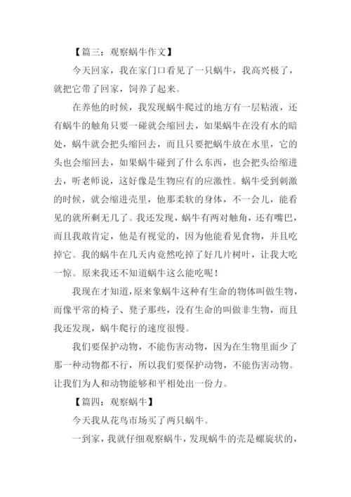 关于观察蜗牛的作文.docx