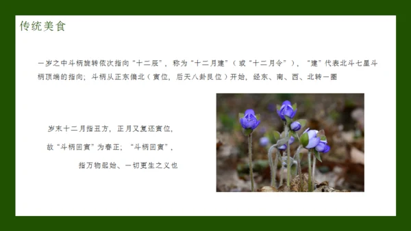 立春节气通用PPT模板