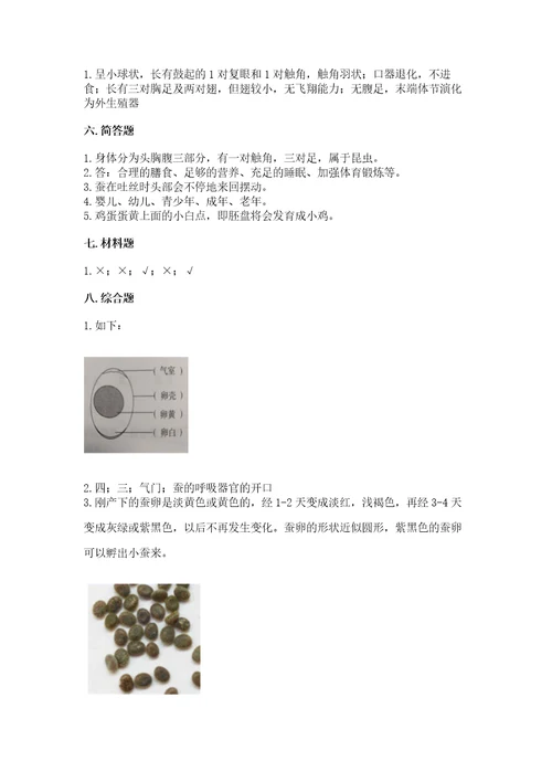 教科版科学三年级下册第二单元《动物的一生》测试卷精品各地真题
